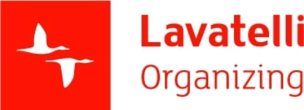 Lavatelli Organizing